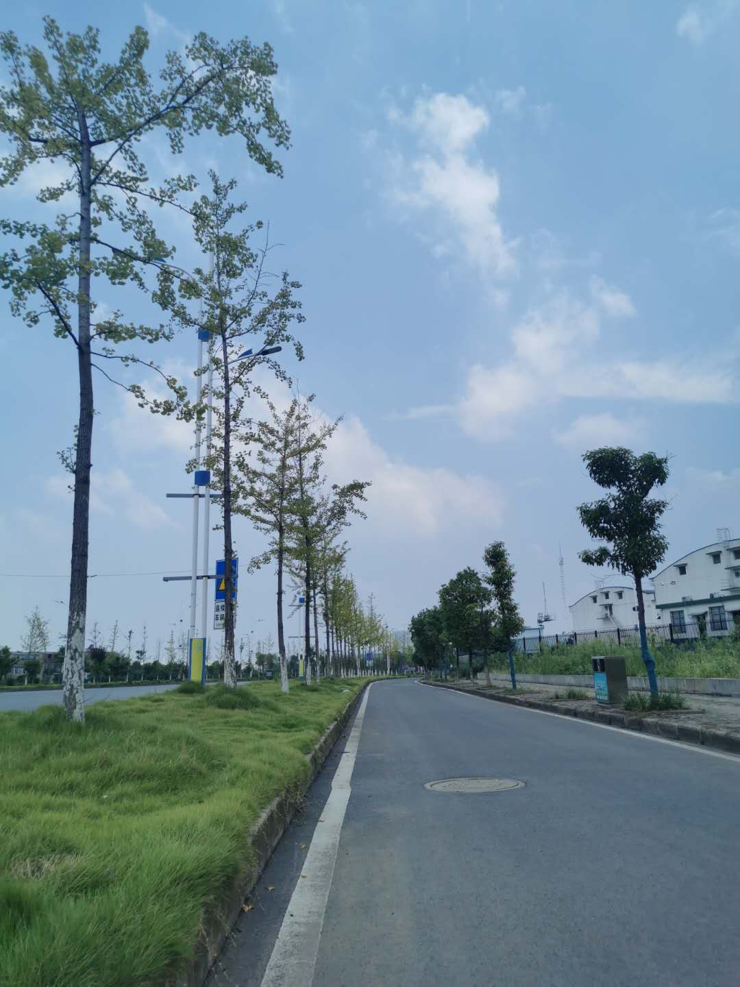 羅家橋綠化-02